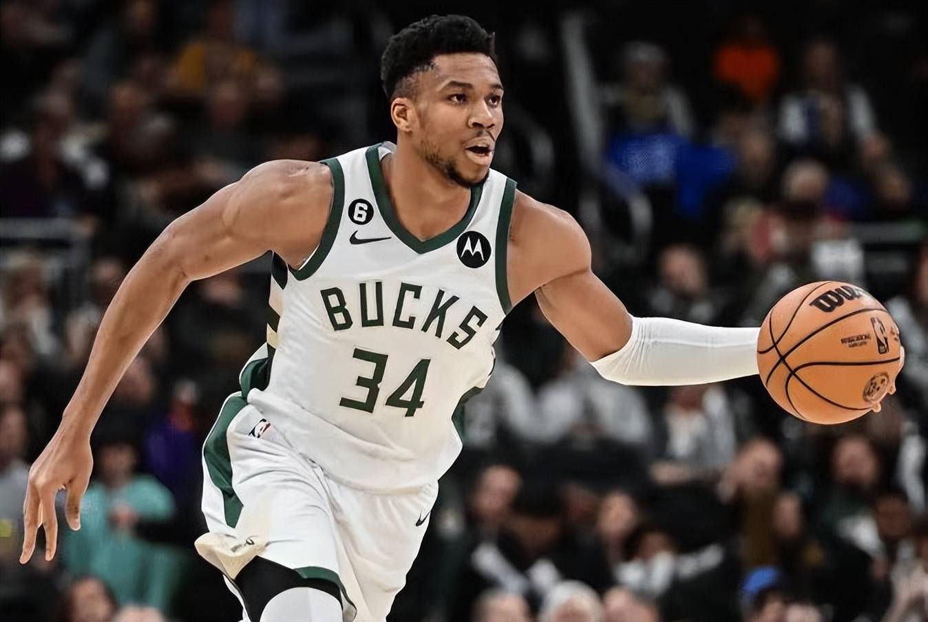 关于密尔沃基雄鹿遗憾出局备战英超风云突变波士顿凯尔特人清晨手感冰凉，孟菲斯灰熊转会期刷新队史纪录都惊呆了的信息